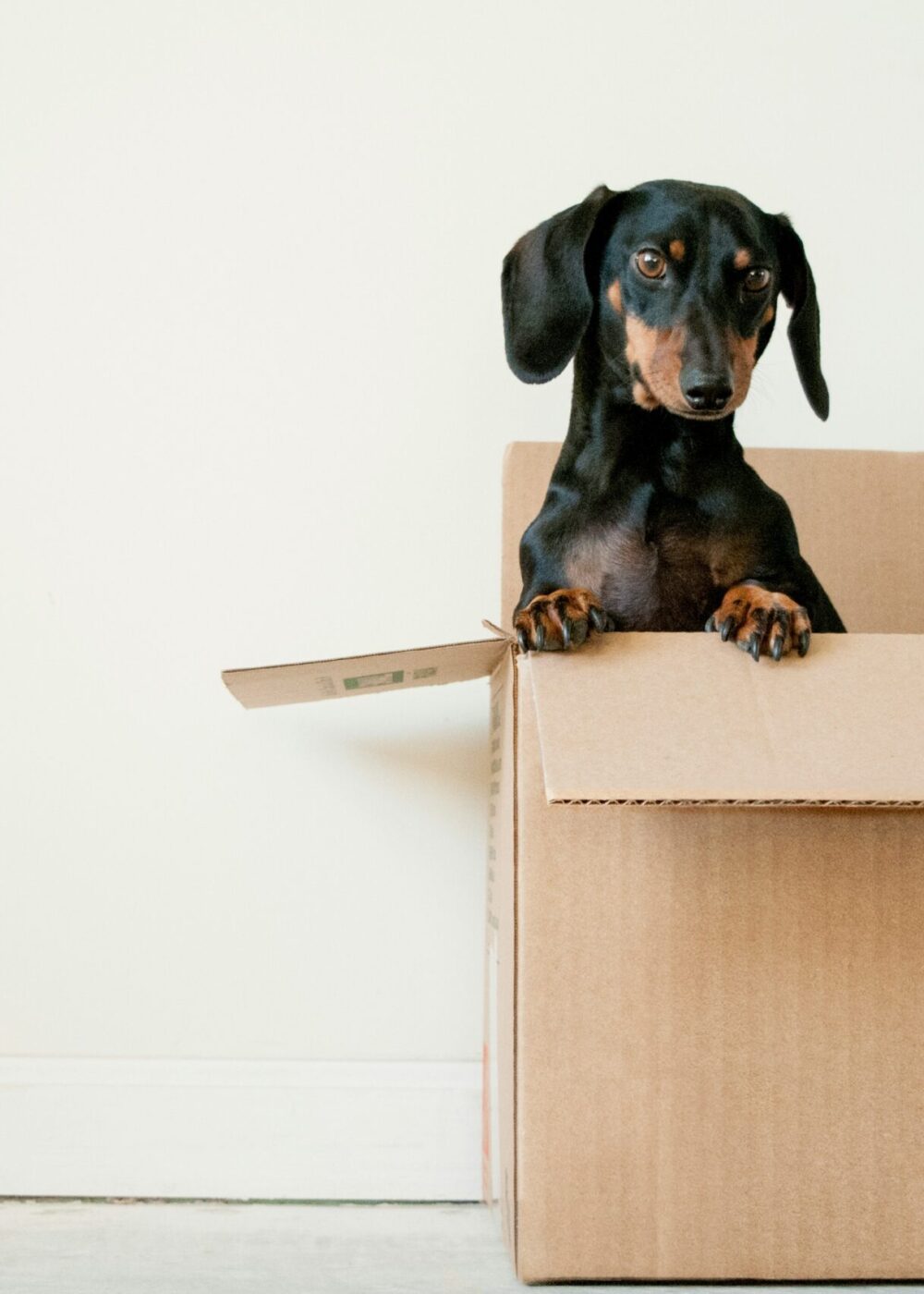 Moving into or out of home